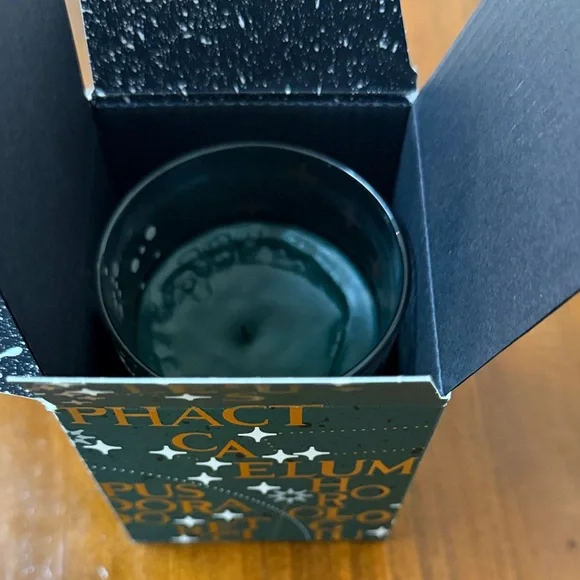 Diptyque Sapin Candle in Original Box (6.5 oz) - Picture 3 of 8